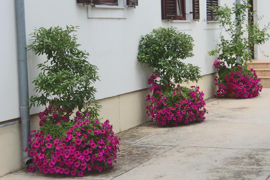 Villa Margareta Sukošan Esterno foto